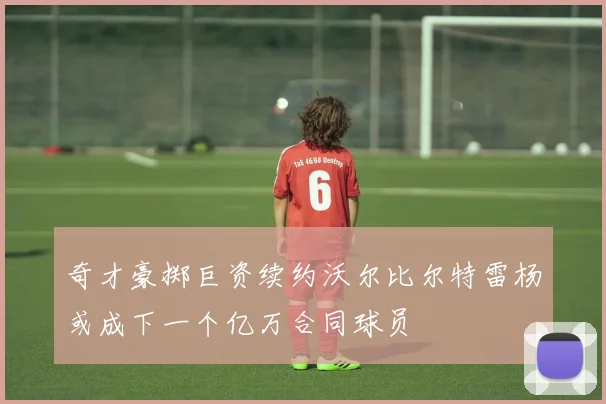 奇才豪掷巨资续约沃尔比尔特雷杨或成下一个亿万合同球员