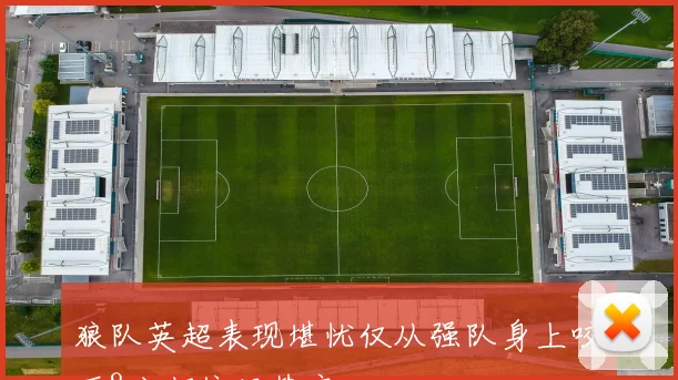 狼队英超表现堪忧仅从强队身上咬下8分却依旧垫底